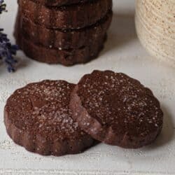 Biscuits A stack of chocolate shortbread cookies with two laying in front of them
