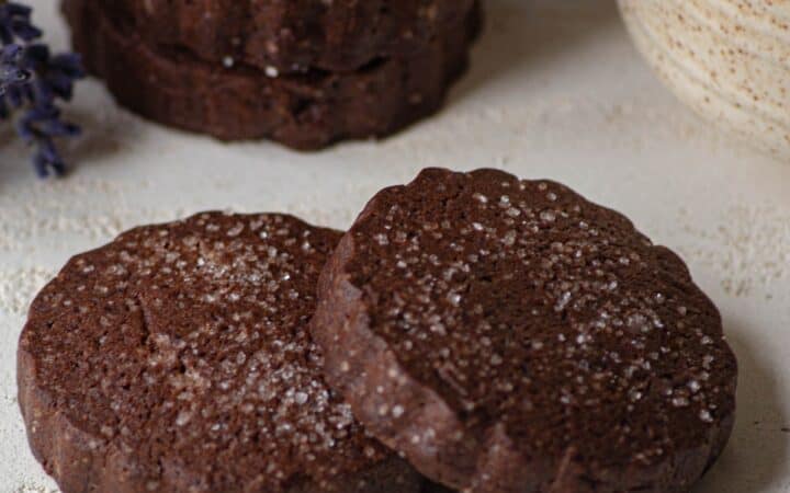 A stack of chocolate shortbread cookies with two laying in front of them