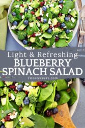 Blueberry Spinach Salad Pin with text overlay