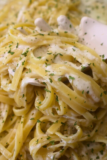 Fetuccini alfredo with cottage cheese alfredo sauce being served with a pasta server
