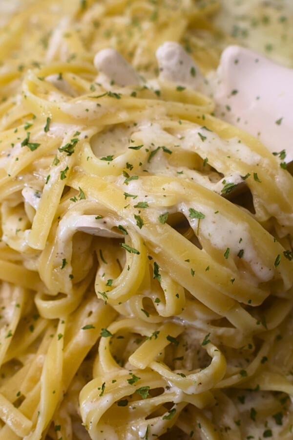 Fetuccini alfredo with cottage cheese alfredo sauce being served with a pasta server