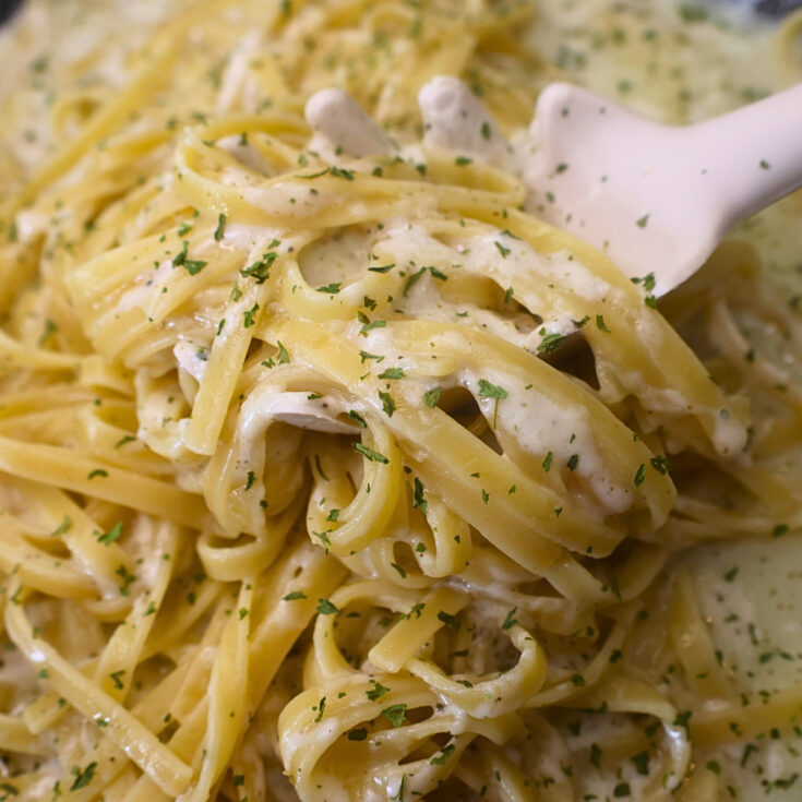 Fetuccini alfredo with cottage cheese alfredo sauce being served with a pasta server