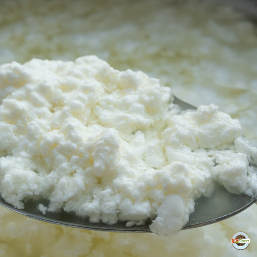 Curdled yogurt on a spoon