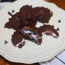 Frozen Yogurt Fruit Clusters with two cut in half on a plate