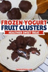 Frozen Yogurt Fruit Clusters Pin with text overlay