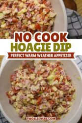 Hoagie Dip Pin with text overlay