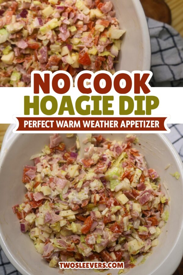 Hoagie Dip Pin with text overlay
