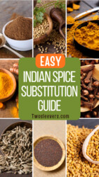 9 part grid of Indian Spices with text overlay reading "Indian Spice Substitution Guide