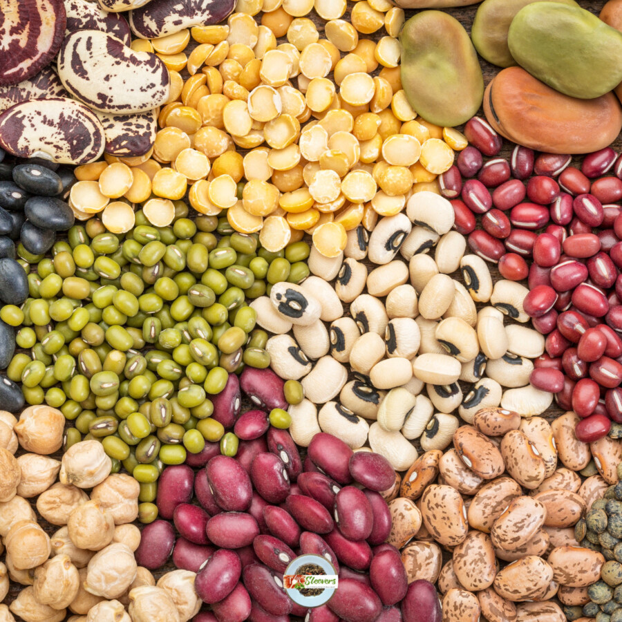 An assortment of lentils and dal