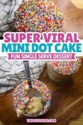 Mini Dot Cakes Pin with text overlay