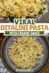 Viral Ditalini Pasta Pin with text overlay
